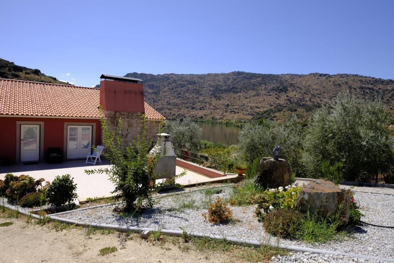 Olhares Do Douro Guest House Torre De Moncorvo Bagian luar foto