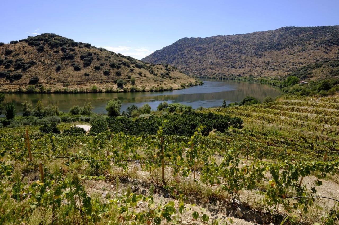 Olhares Do Douro Guest House Torre De Moncorvo Bagian luar foto