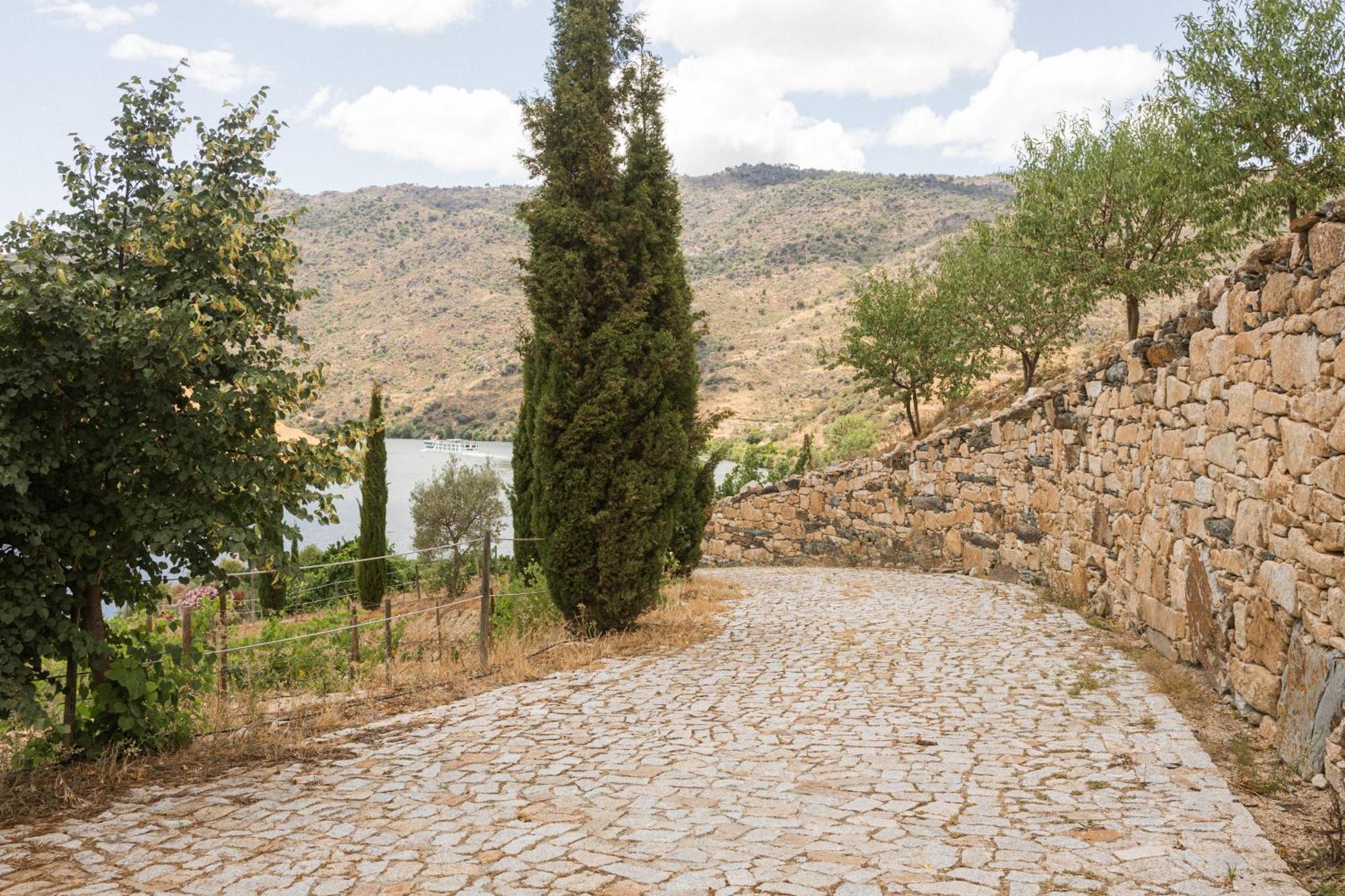 Olhares Do Douro Guest House Torre De Moncorvo Bagian luar foto