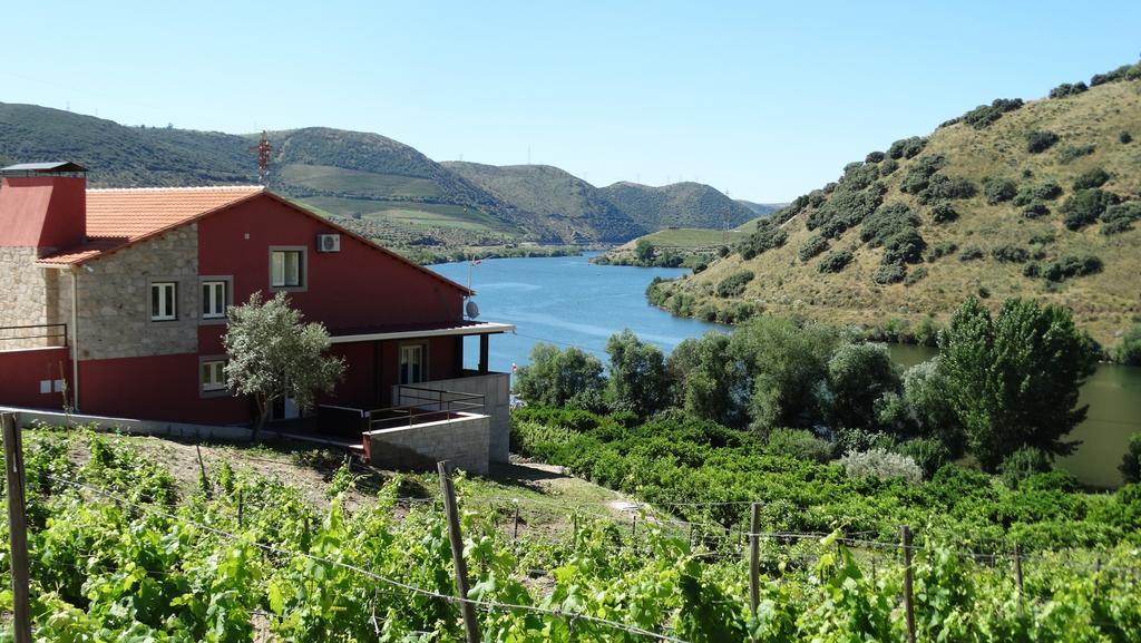 Olhares Do Douro Guest House Torre De Moncorvo Bagian luar foto