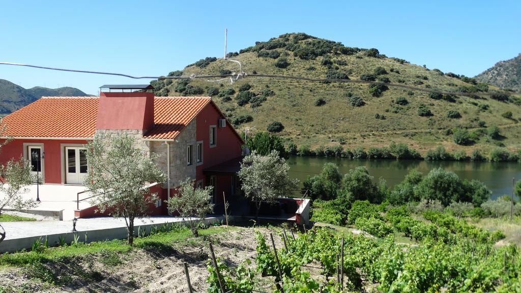 Olhares Do Douro Guest House Torre De Moncorvo Bagian luar foto
