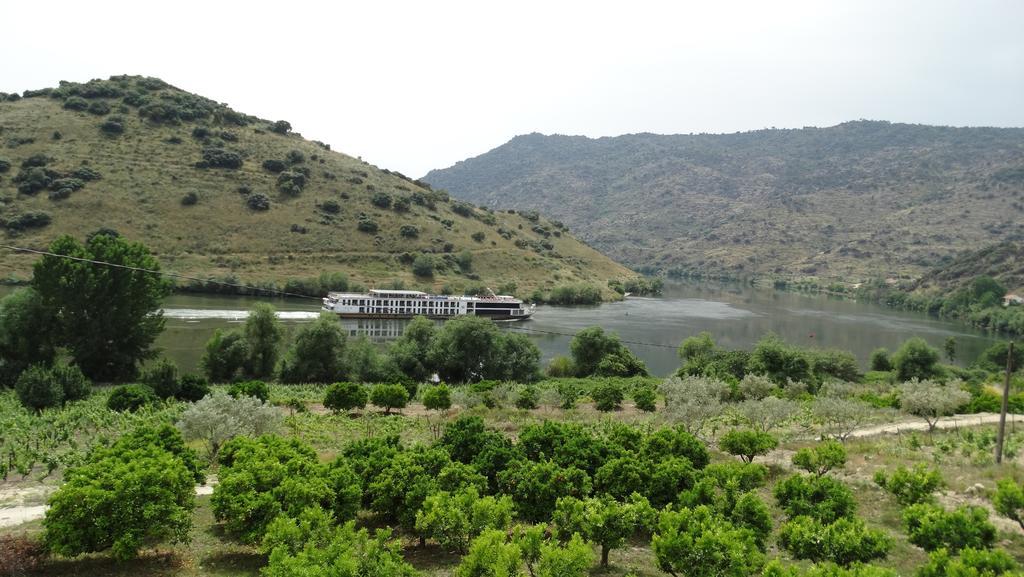 Olhares Do Douro Guest House Torre De Moncorvo Bagian luar foto
