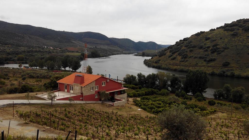 Olhares Do Douro Guest House Torre De Moncorvo Bagian luar foto