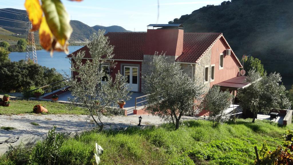 Olhares Do Douro Guest House Torre De Moncorvo Bagian luar foto