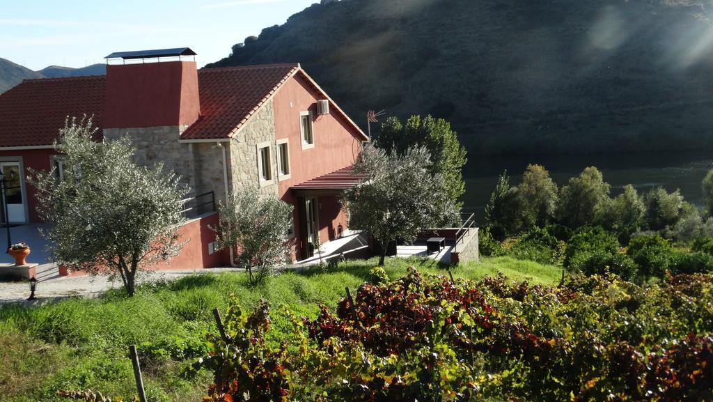 Olhares Do Douro Guest House Torre De Moncorvo Bagian luar foto
