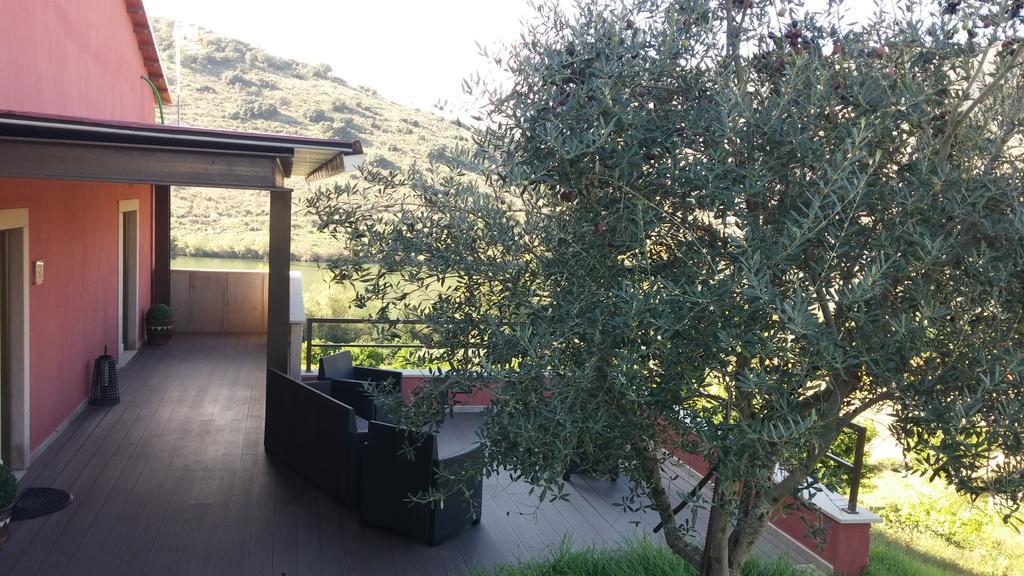 Olhares Do Douro Guest House Torre De Moncorvo Bagian luar foto